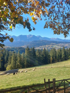 Panoramiczny Wierch in Drawno
